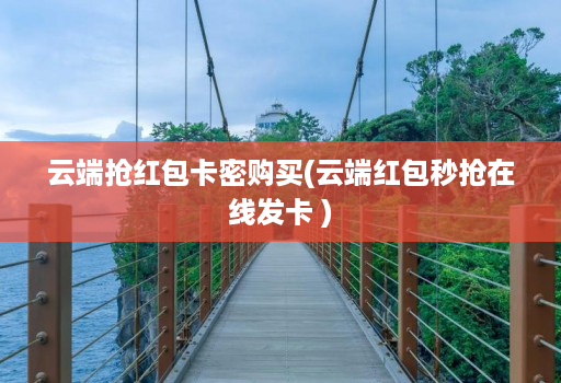 云端抢荭包卡密购买(云端红包秒抢在线发卡 )