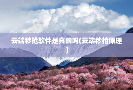 云端秒抢软件是真的吗(云端秒抢原理 )