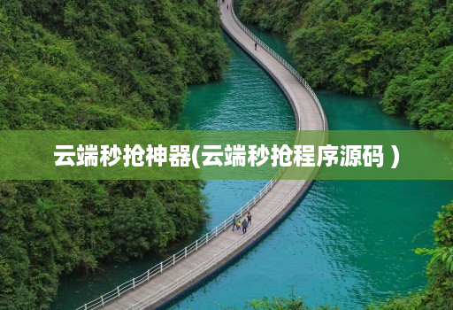 云端秒抢神器(云端秒抢程序源码 )