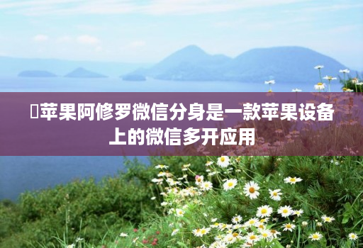 ‌苹果阿修罗微信分身是一款苹果设备上的微信多开应用