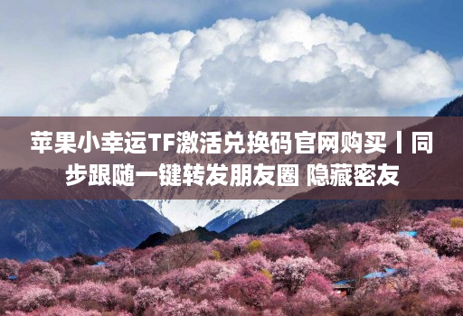 苹果小幸运TF激活兑换码官网购买丨同步跟随一键转发朋友圈 隐藏密友