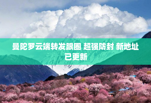 曼陀罗云端转发跟圈 超强防封 新地址已更新
