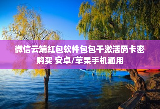微信云端红包软件包包干激活码卡密购买 安卓/苹果手机通用
