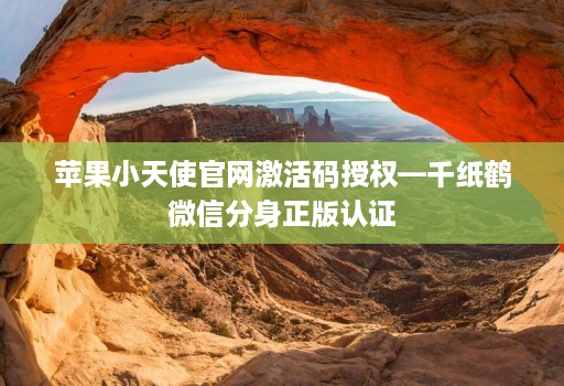 苹果小天使官网激活码授权—千纸鹤微信分身正版认证