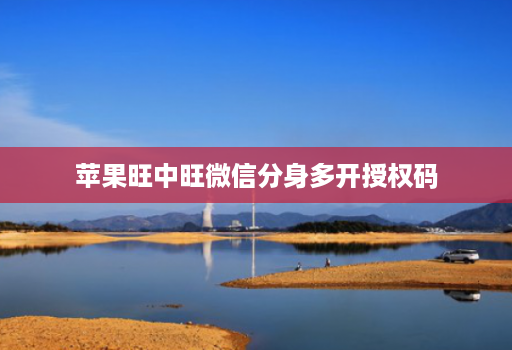 苹果旺中旺微信分身多开授权码