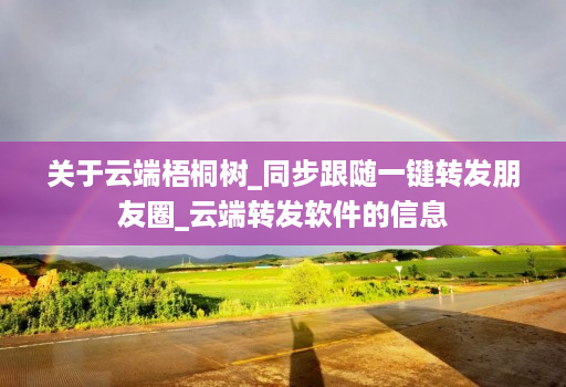 关于云端梧桐树_同步跟随一键转发朋友圈_云端转发软件的信息