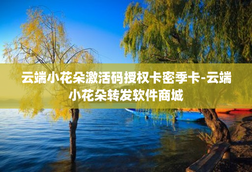 云端小花朵激活码授权卡密季卡-云端小花朵转发软件商城