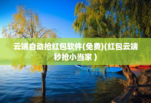 云端自动抢红包软件(免费)(红包云端秒抢小当家 )
