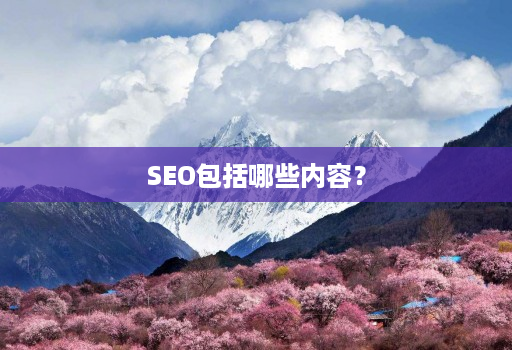 SEO包括哪些内容？