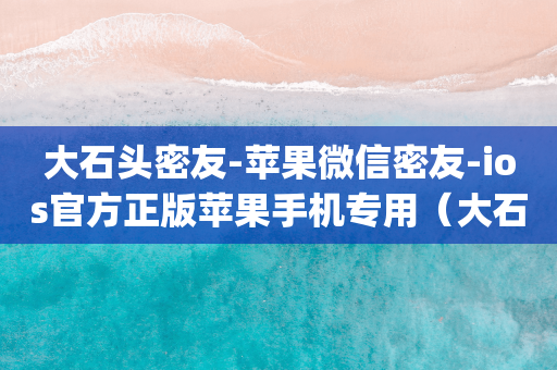 苹果大石头密友-苹果微信密友-ios官方正版苹果手机专用（大石头密友分身）