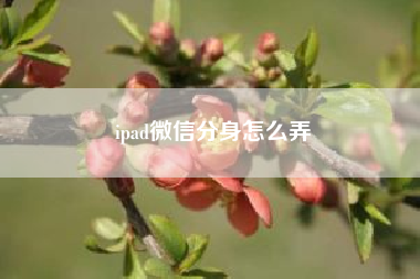 ipad微信份身怎么弄 iPad微信怎么切换账号？（苹果百花香官网）